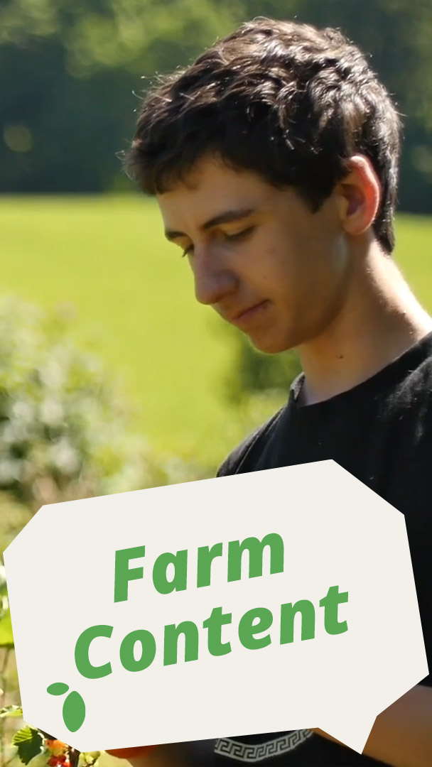 Farm Content
