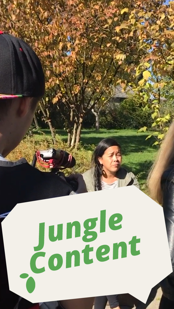 Jungle Content