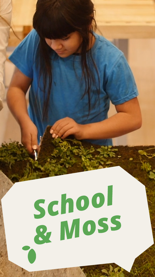 Schüler Moosbild