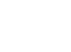 zemmawagsa small logo icon